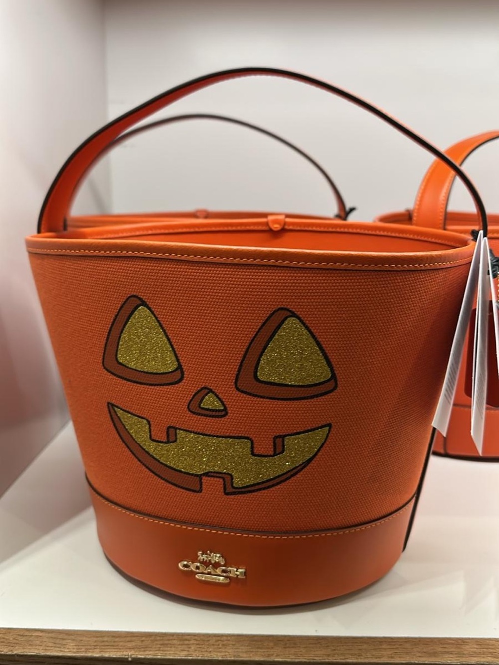 Coach Orange Pumpkin Glitter Detail Bucket Bag